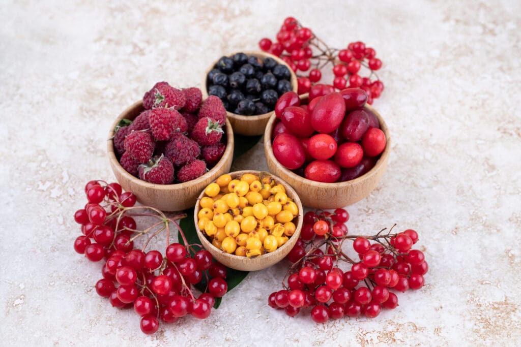 10 Superaliments Essentiels pour Booster Votre Santé au Naturel 2 Un mélange coloré de différentes baies