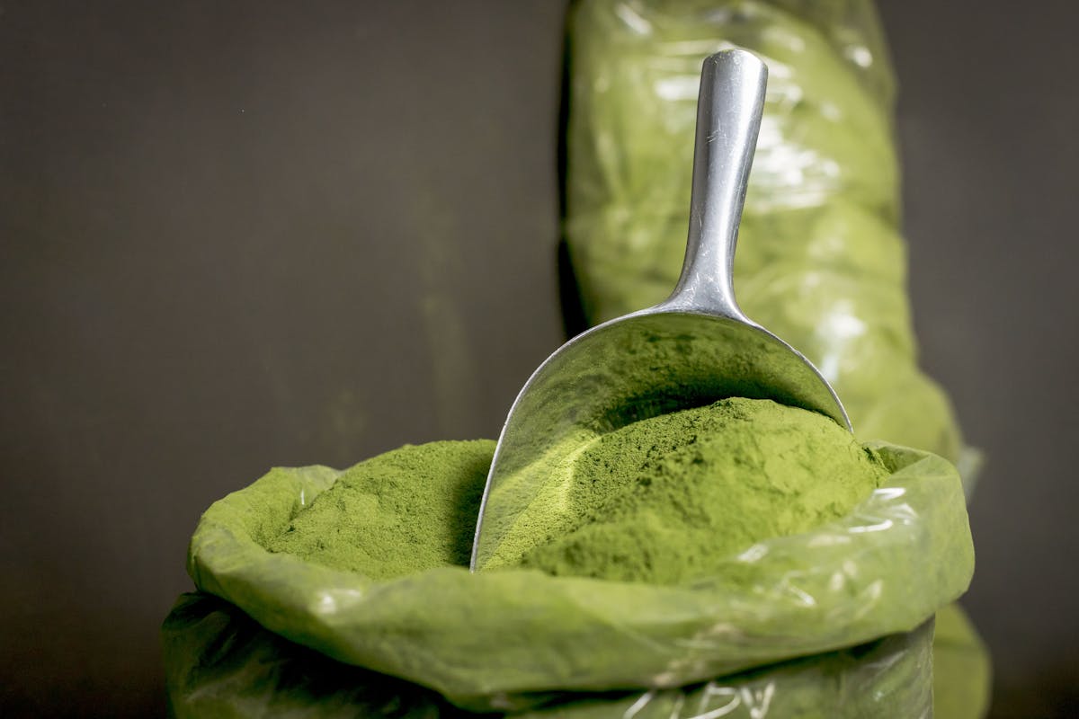 Compléments alimentaires immunité : le guide complet au moringa 2 Poudre de moringa bio, ingrédient clé des compléments alimentaires immunité