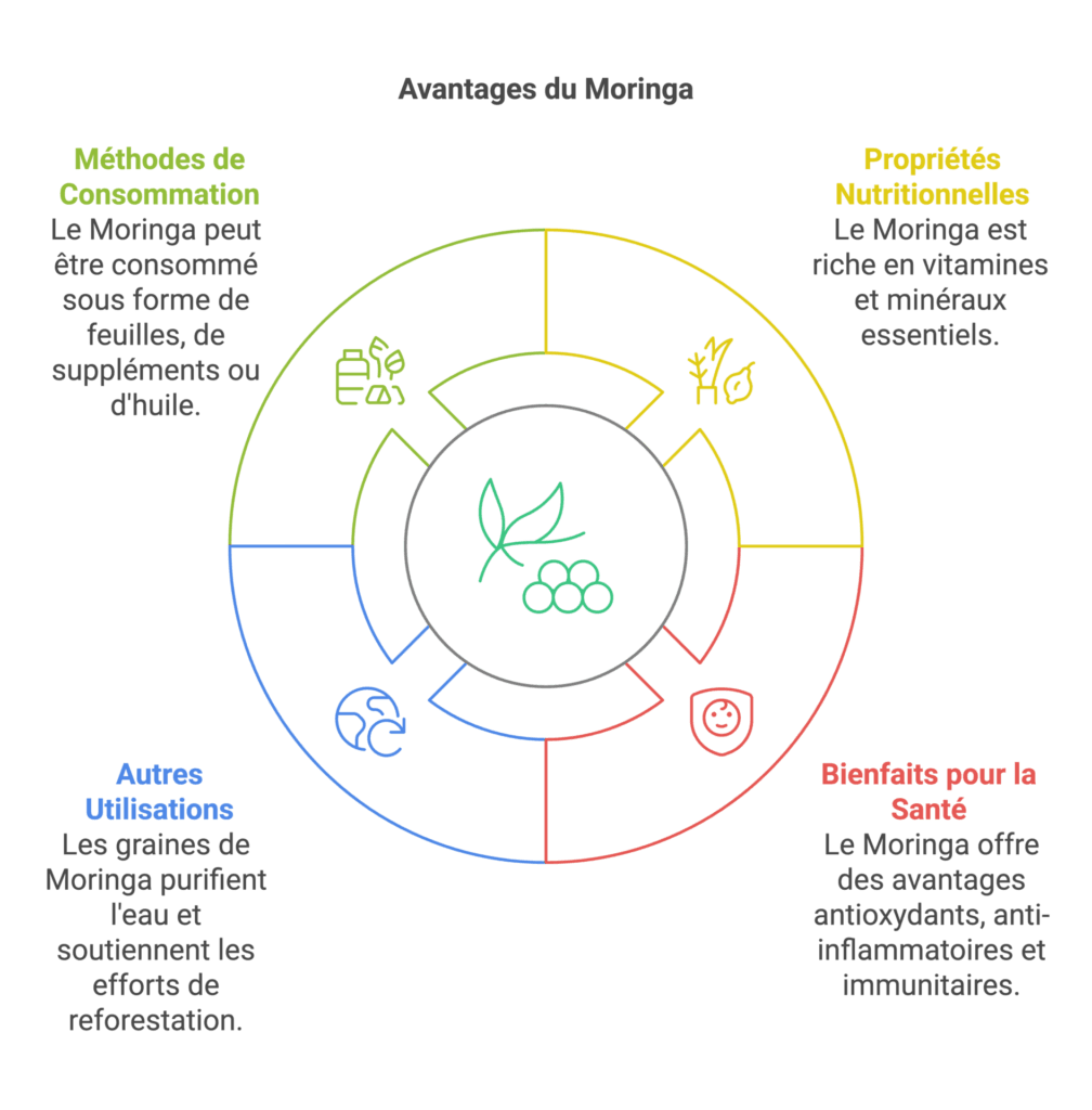 7 Incroyables Bienfaits du Moringa : Le Super-Aliment Révolutionnaire pour Votre Santé 1 Moringa bienfaits pour femmes actives