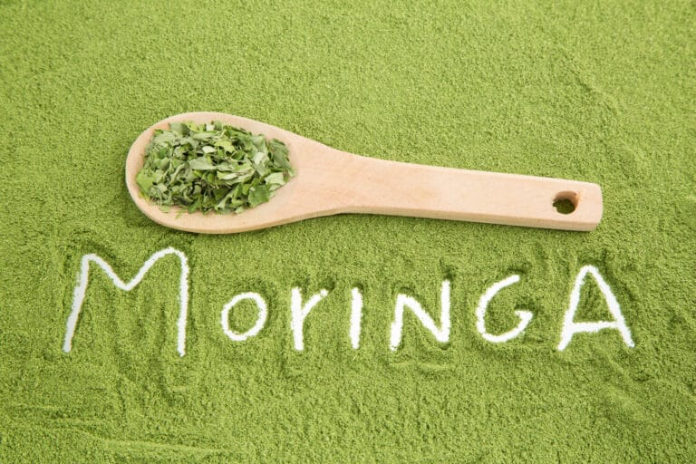 7 Incroyables Bienfaits du Moringa