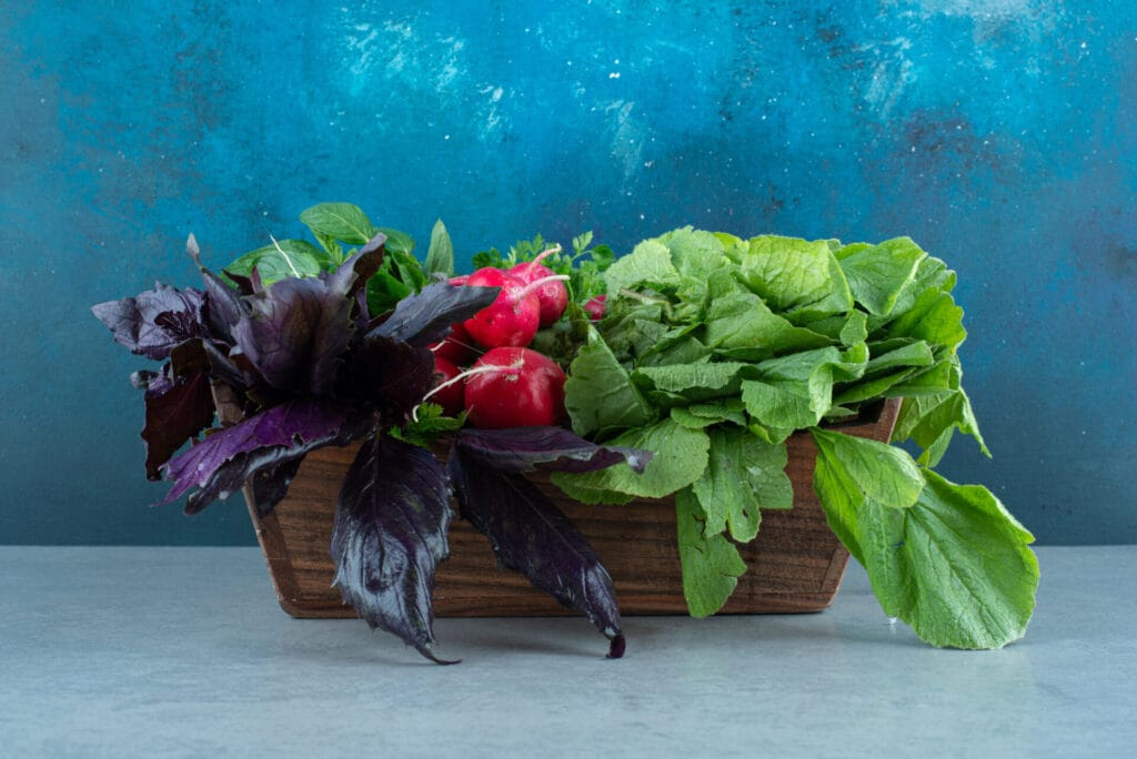 Un assortiment de légumes-feuilles verts frais
