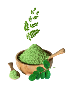 Accueil - Des Gummies au Moringa pour le Bien-être