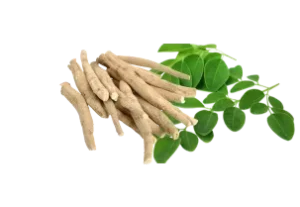 Accueil - Des Gummies au Moringa pour le Bien-être