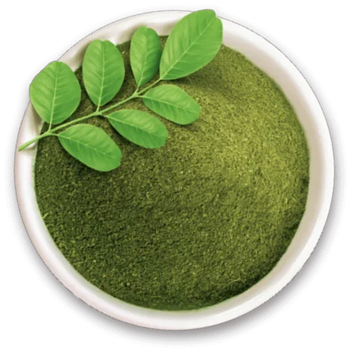 Accueil - Des Gummies au Moringa pour le Bien-être